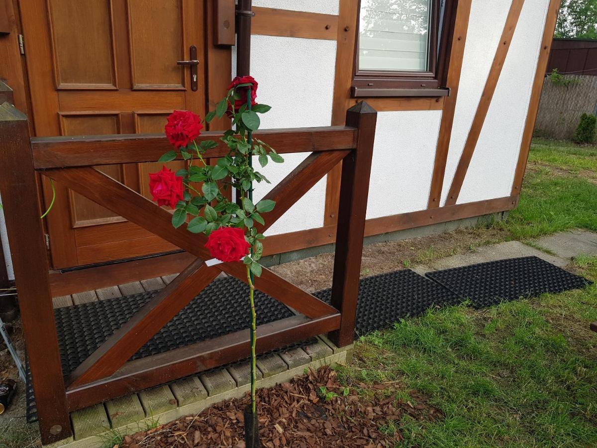 Pustkowo Domki Wakacyjne U Marka Esterno foto